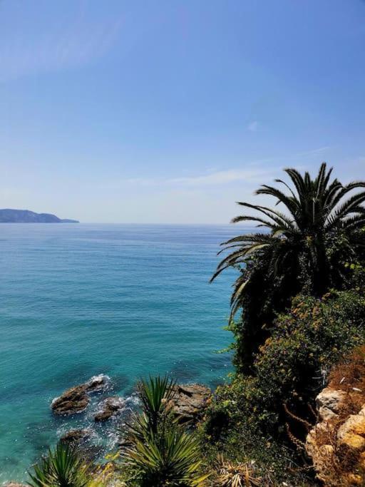 Atico Fresco Y Luminoso Con Aparcamiento Privado Lejlighed Nerja Eksteriør billede